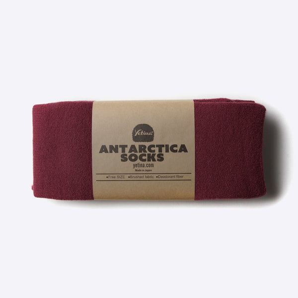 Antarctica Socks